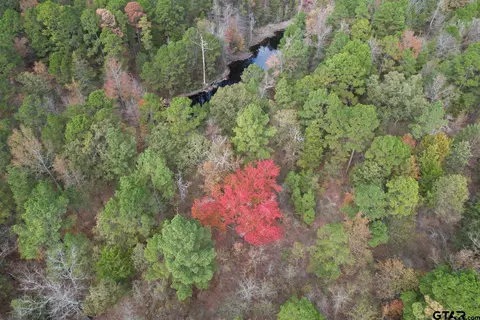 tbd Stag Rd, Gilmer, TX 75644 photo 23