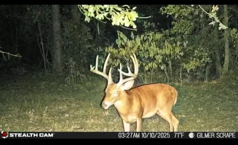 tbd Stag Rd, Gilmer, TX 75644 photo 3