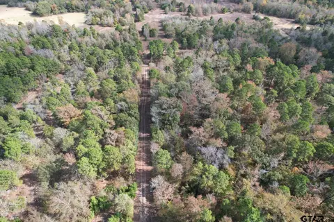 tbd Stag Rd, Gilmer, TX 75644 photo 16