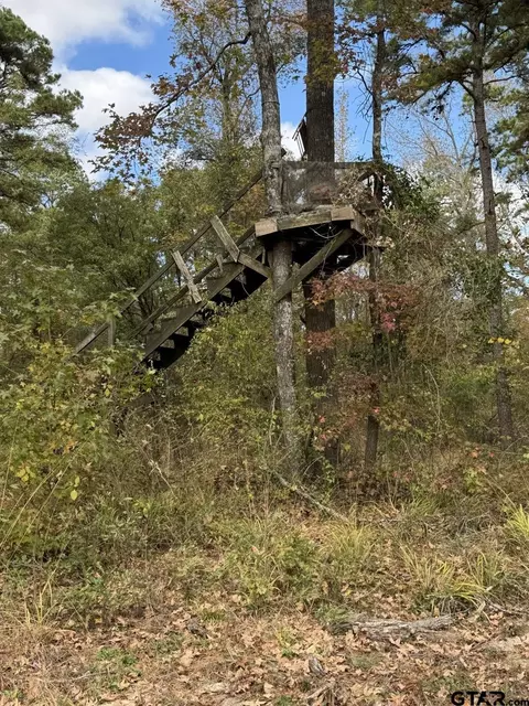 tbd Stag Rd, Gilmer, TX 75644 photo 12