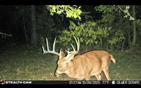 tbd Stag Rd, Gilmer, TX 75644 photo 7