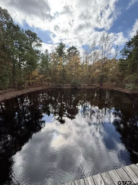 tbd Stag Rd, Gilmer, TX 75644 photo 25