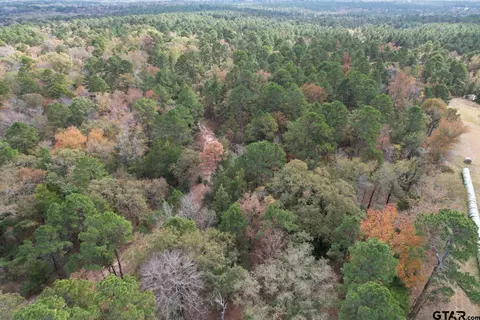 tbd Stag Rd, Gilmer, TX 75644 photo 20