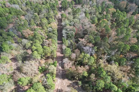 tbd Stag Rd, Gilmer, TX 75644 photo 15