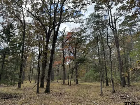 tbd Stag Rd, Gilmer, TX 75644 photo 44