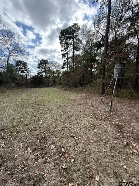 tbd Stag Rd, Gilmer, TX 75644 photo 30