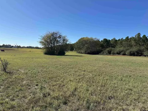 11 Tbd Old Spanish Trial Dr # B, Alto, TX 75925