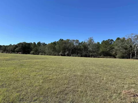 13 Tbd Old Spanish Trial Dr # B, Alto, TX 75925