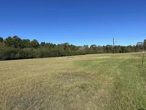 14 Tbd Old Spanish Trial Dr # B, Alto, TX 75925