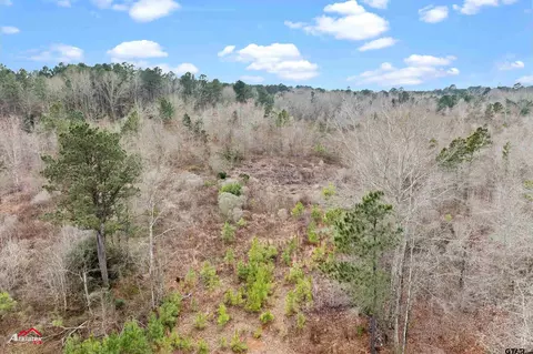 tbd Haynes Rd, Marshall, TX 75672 photo 8