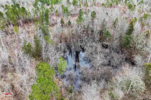 tbd Haynes Rd, Marshall, TX 75672 photo 13
