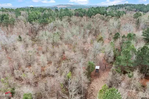 tbd Haynes Rd, Marshall, TX 75672 photo 10