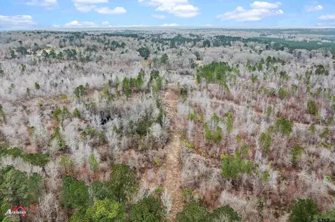 tbd Haynes Rd, Marshall, TX 75672 photo 15