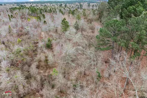tbd Haynes Rd, Marshall, TX 75672 photo 11