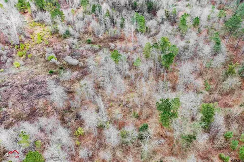 tbd Haynes Rd, Marshall, TX 75672 photo 12