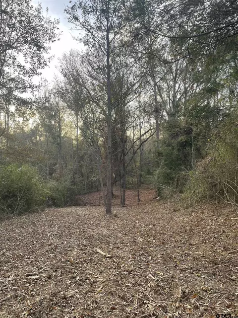 tbd Fm 1804, Mineola, TX 75773