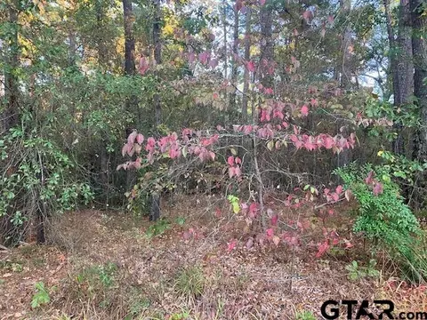 1657 Pineview Dr, Hideaway, TX 75771 photo 4