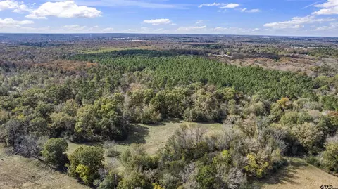 tbd Cr 3170, Winnsboro, TX 75494