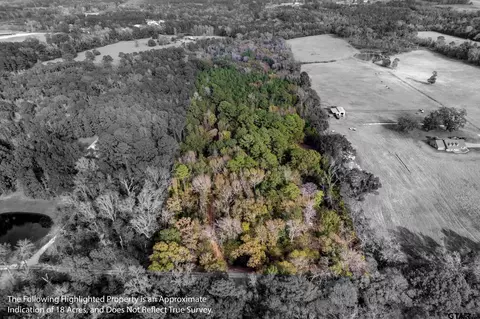 590 An County Road 169, Elkhart, TX 75839