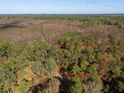 tbd Rolling Rdg, Holly Lake Ranch, TX 75765