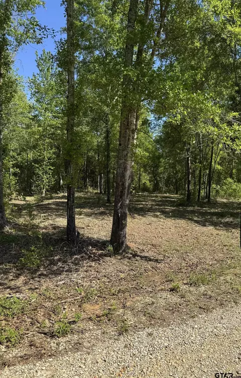 24337 Fm 838, Overton, TX 75684