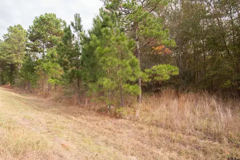 tbd Fm 2012, Overton, TX 75684