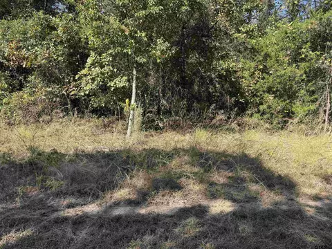 lot336 King Bernanrd, Scroggins, TX 75480