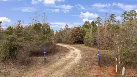 2528 W Fm 1798, Laneville, TX 75667