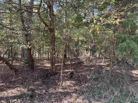 lot69 Kings Lk, Scroggins, TX 75480