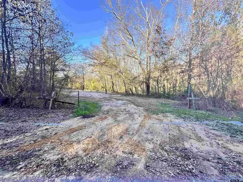 0 Cr 4302, Larue, TX 75770