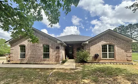 16785 S Lakeview Dr, Troup, TX 75789