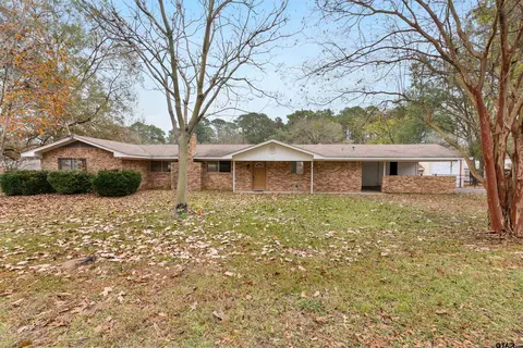 1621 Baseball Loop, Diana, TX 75640