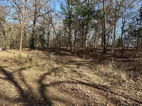 81 Cr 2614, Pittsburg, TX 75686