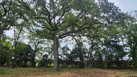 lot S 456 Holly Gln, Murchison, TX 75778