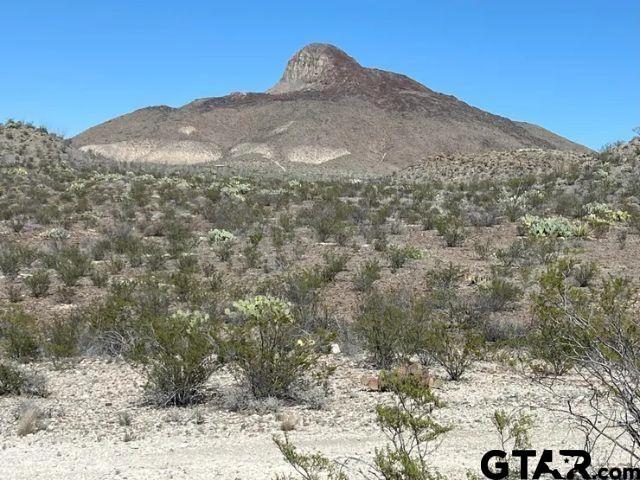 21553 Black Peak Pid 21553, Terlingua, TX 79852