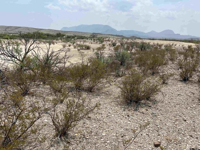 20865 66 Ivy Pid 20865 66, Terlingua, TX 79852