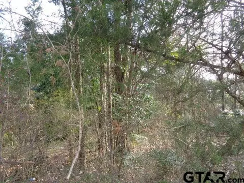 tbd Cr 4870, Winnsboro, TX 75494