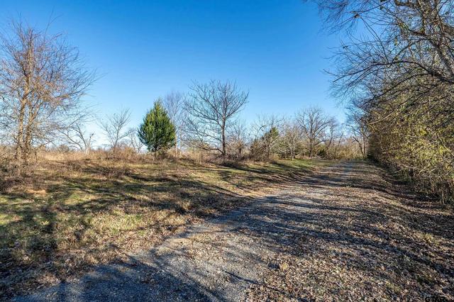 14461 County Road 46, Tyler, TX 75704