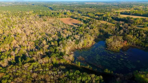 0 An County Road 441, Palestine, TX 75803