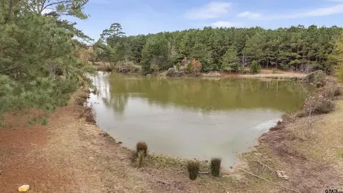 370 County Road 4719, Troup, TX 75789