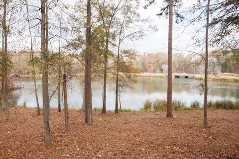 17931 Gordons Lndg, Arp, TX 75750