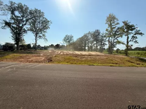20020 Dews Ct, Troup, TX 75789