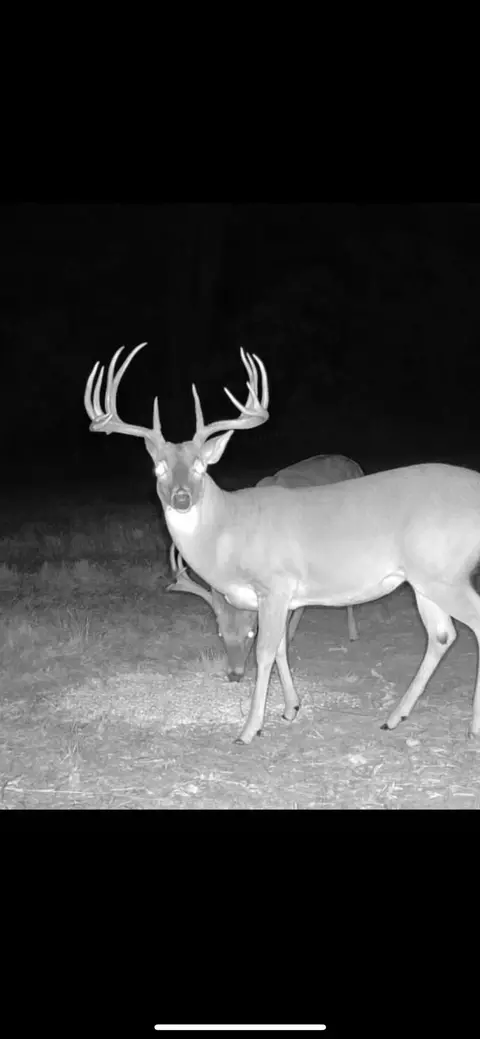 tbd Cr 2737, Naples, TX 75568