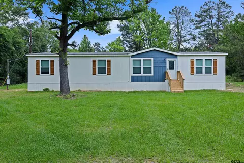 15317 S Fm 95, Mount Enterprise, TX 75681