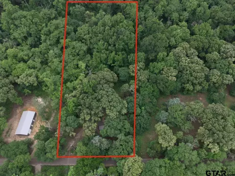 24773 Cr 460, Grand Saline, TX 75140