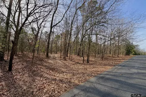 lot130 131 Canadian, Scroggins, TX 75480