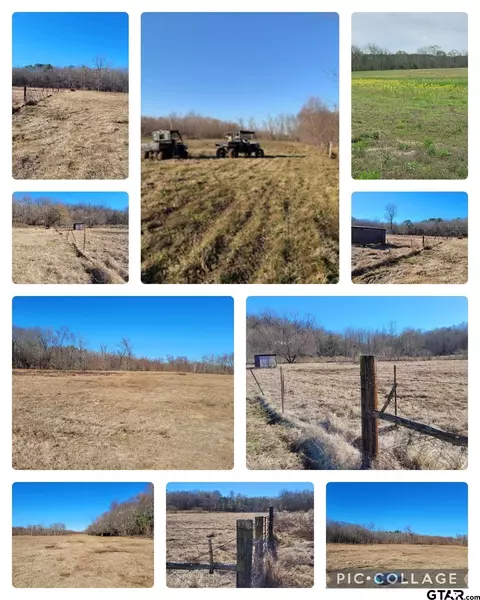 10774 County Road 494, Tyler, TX 75706