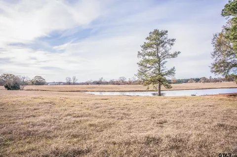 3250 Fm 22 - 8291 Acres, Jacksonville, TX 75766