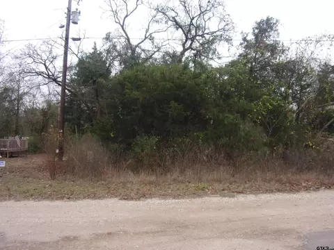 tbd Elm, Murchison, TX 75778 photo 2