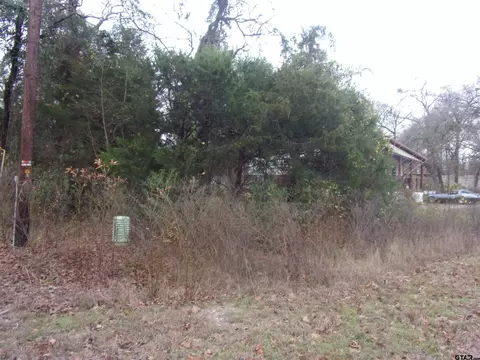 tbd Elm, Murchison, TX 75778 photo 3